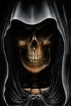 Avatar de Usuario